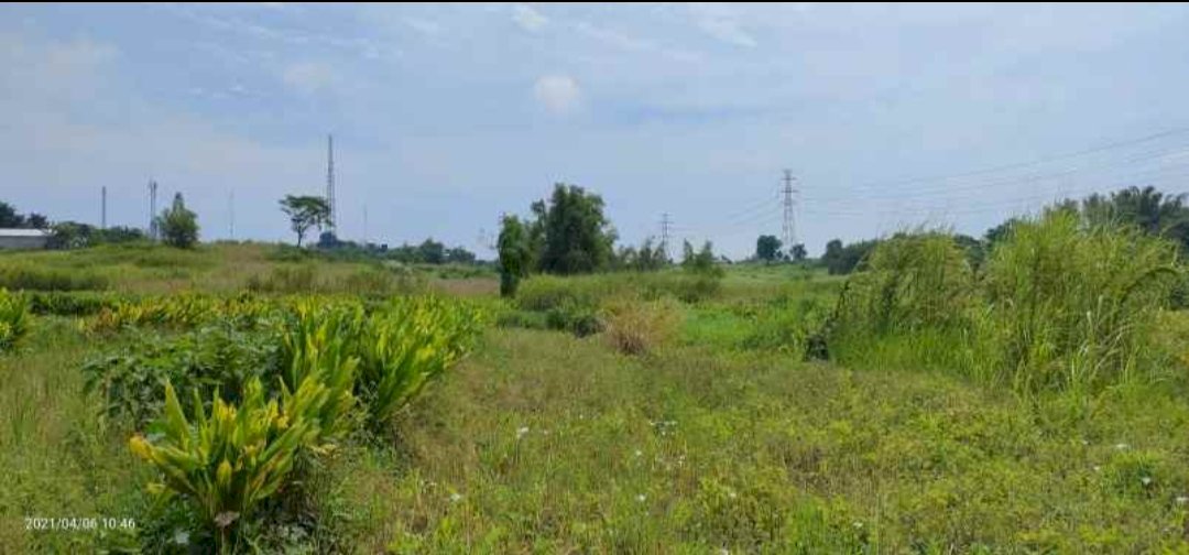 Tanah Murah & Lokasi Strategis di Nol Jalan Raya Karang Andong Driyorejo Gresik