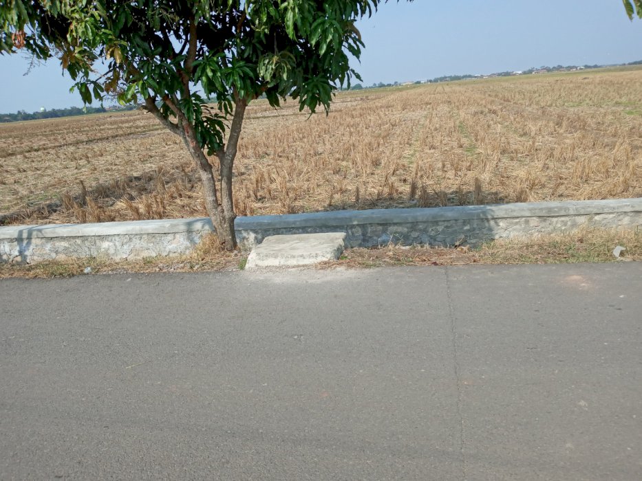 Dijual cepat tanah indramayu barat