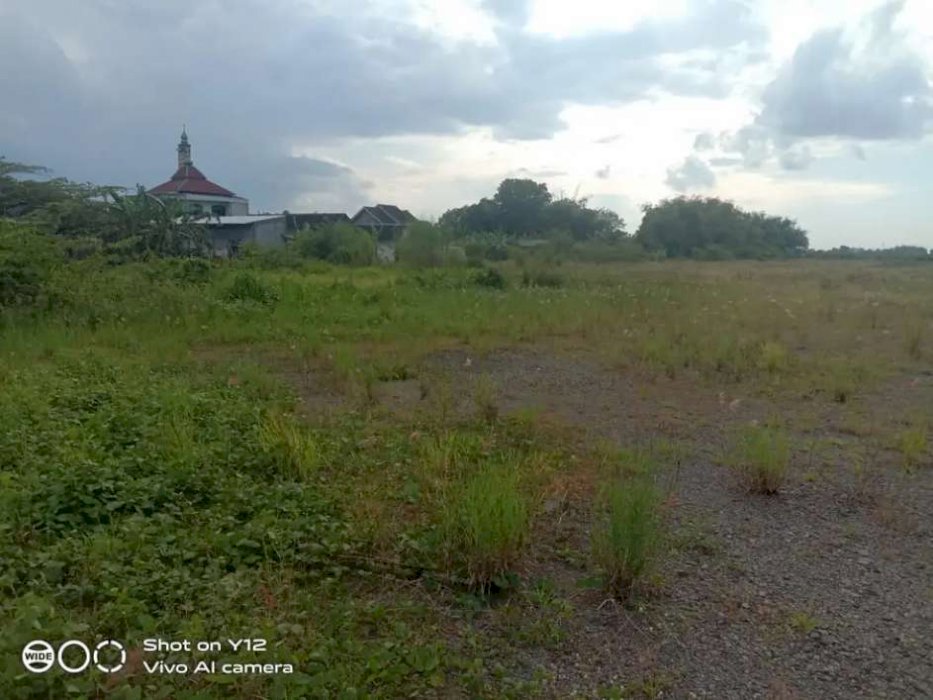 Dijual cepat tanah murah di Tulangan Sidoarjo