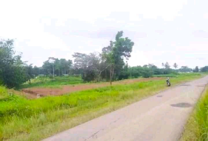 Tanah kavling ruko citra alama