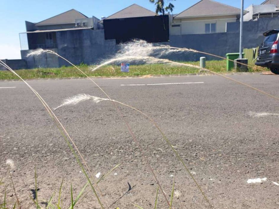 Tanah Kavling Istimewa di Royal Residence B12 Dekat Jalan Tembus Pakuwon Mall