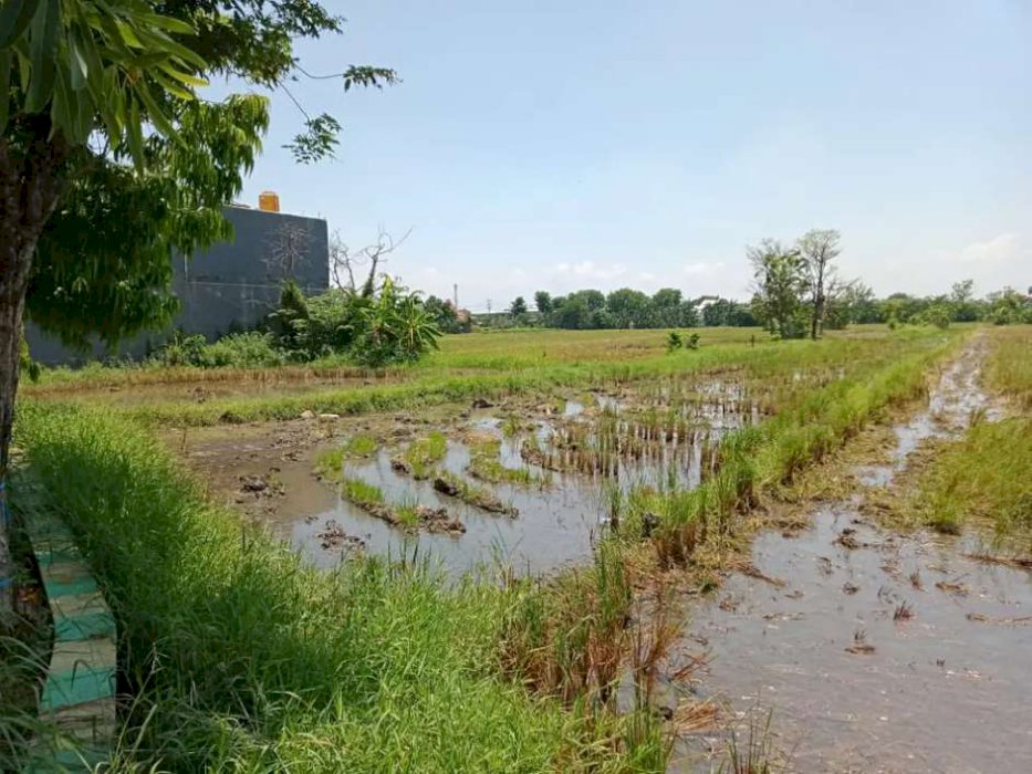 Dijual tanah di buduran Sidoarjo
