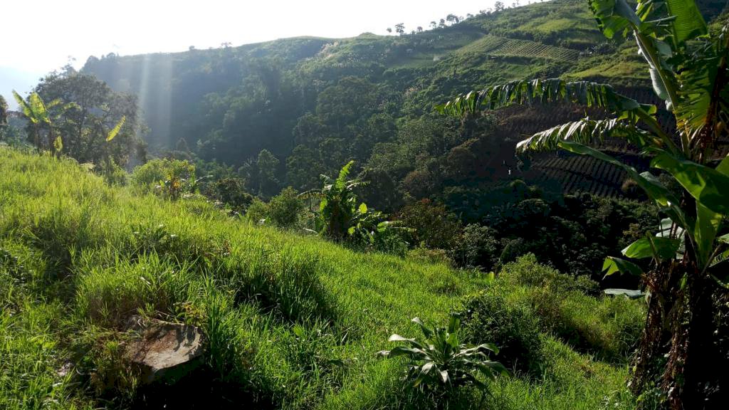 DI JUAL TANAH DI JALUR PUNCAK 2