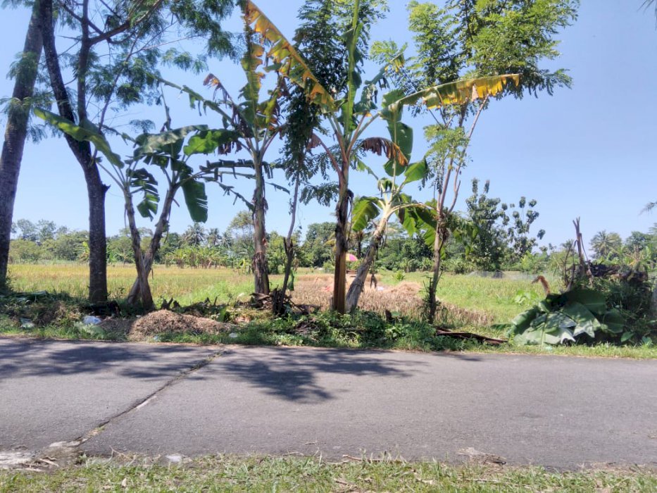 Tanah MURAH Depan Calon Perum Damai di Palagan Ngaglik, Cck Investasi