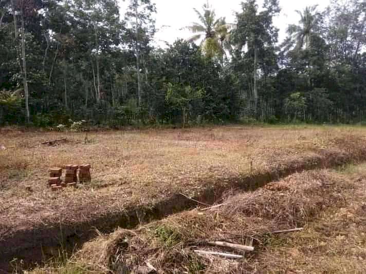 Kavlingan green vally