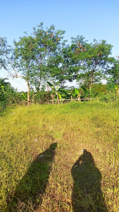 Dijual Tanah SIAP BANGUN depan Std Jalak Harupat di Soreang Cipatik