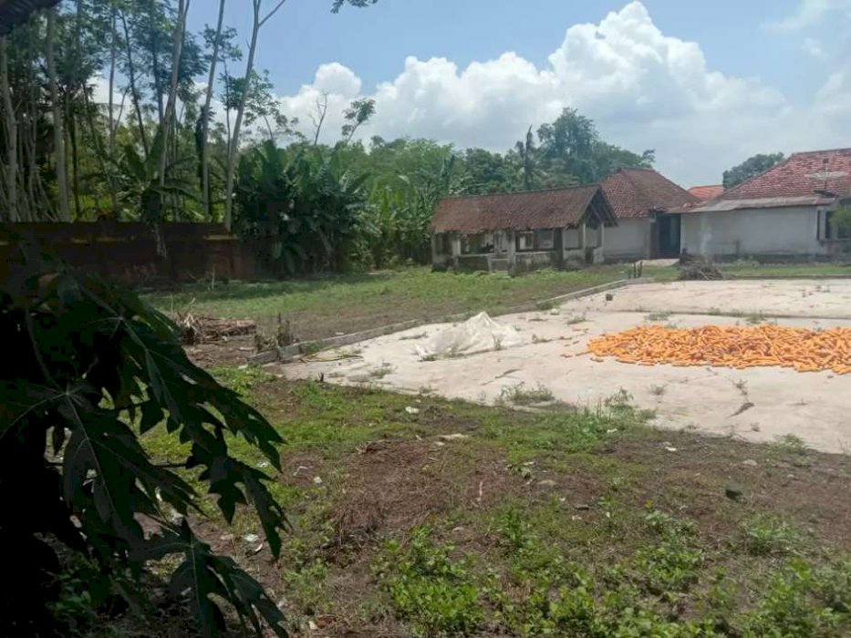 Dijual tanah di Lumajang desa kedungmoro