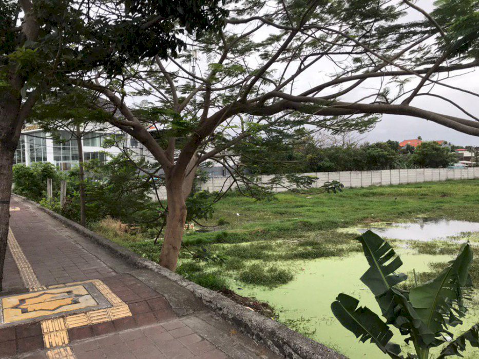 Dijual tanah jl mahendradatta utama strategies