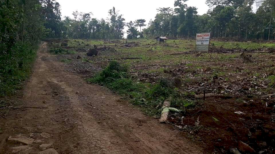 Tanah kavling sejahtera