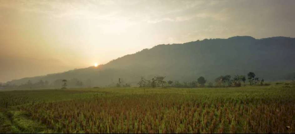 MENGEJUTKAN ! ADA KAVLING SAWAH VIRAL DI BOGOR TIMUR 250M HANYA 99 JT