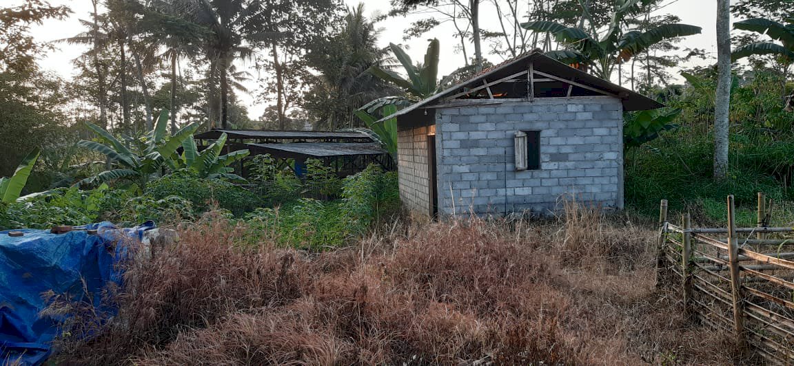 Tanah Potensi Untuk Bisnis di Semarang