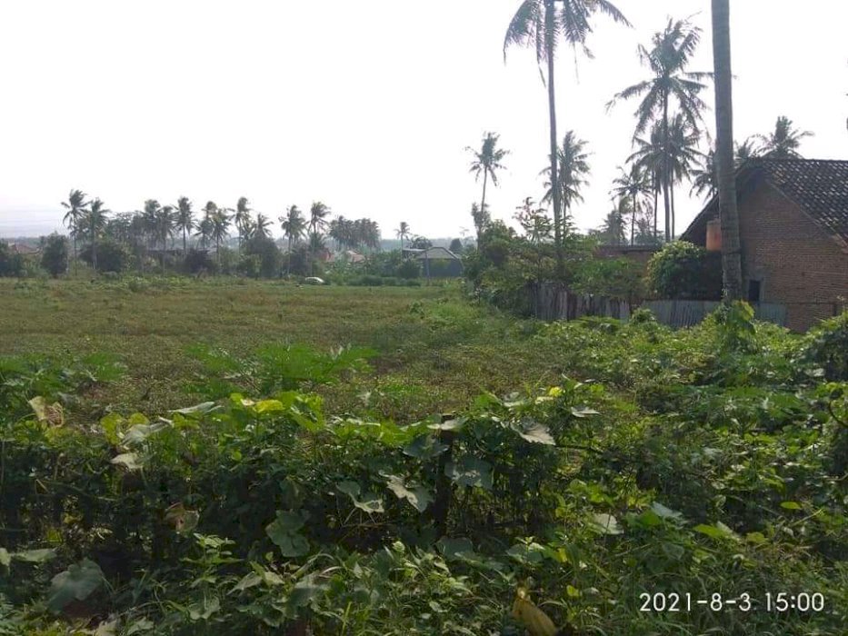 Tanah mangku jalan aspal lokasi strategis