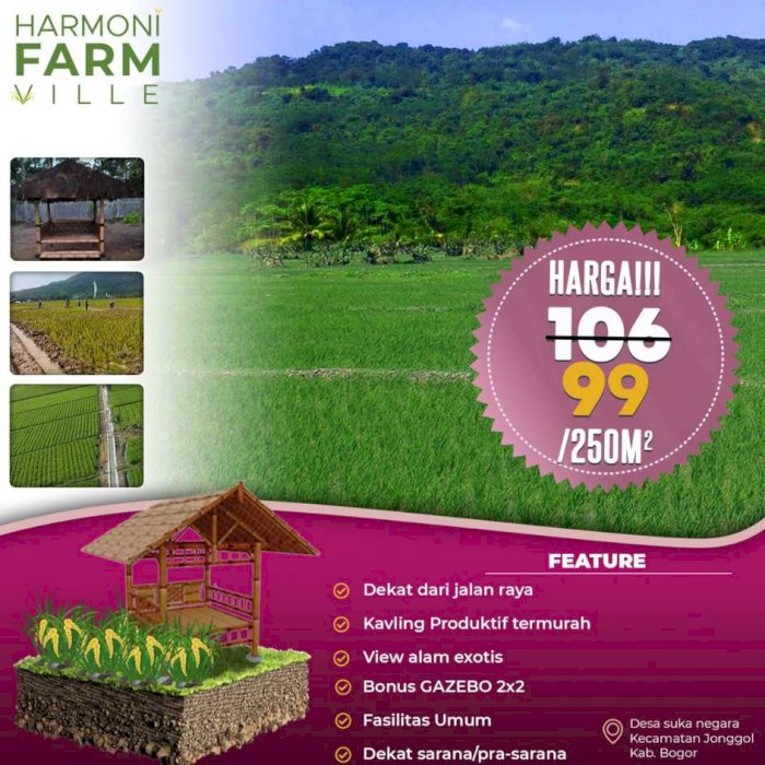 KAVLING SAWAH PRODUKTIF MURAH DI JONGGOL BOGOR Mau Ngga Sih? Punya Ka