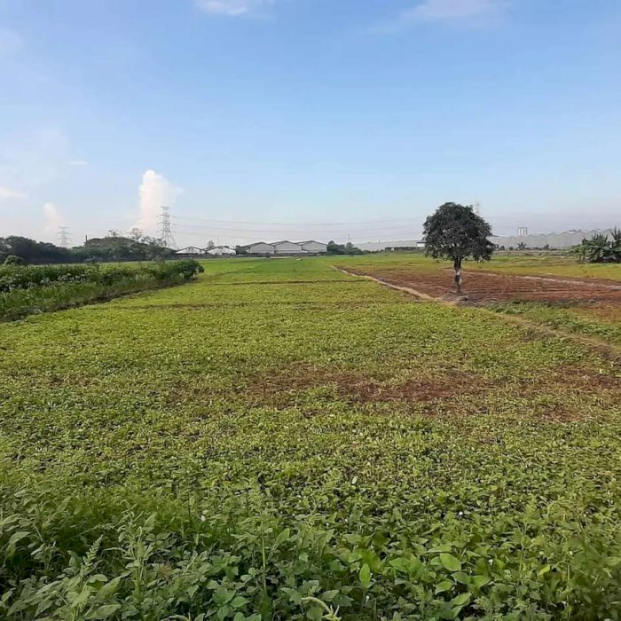 Tanah Lokasi Strategis dan Area Industri Di Jalan Raya Legundi, Kabupaten Gresik