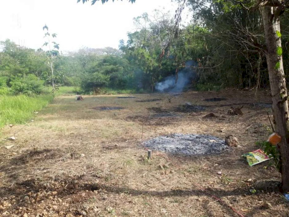 Tanah 1 are ada 4 unit di kutuh