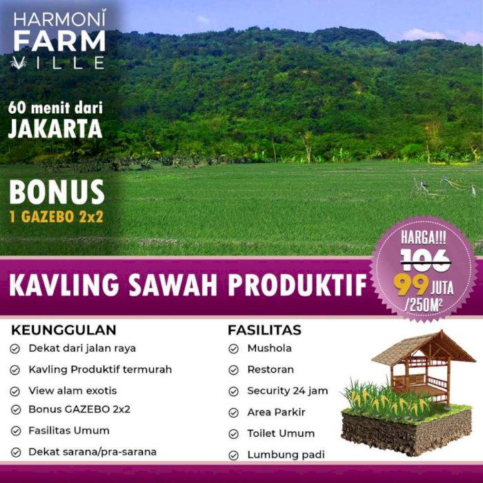 DI JUAL SAWAH MURAH DI JONGGOL BOGOR TIMUR