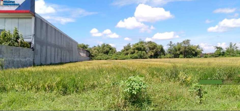 Tanah Luas 3,2 Hektare Untuk Industri/Pergudangan di Desa Ketimang, Sidoarjo