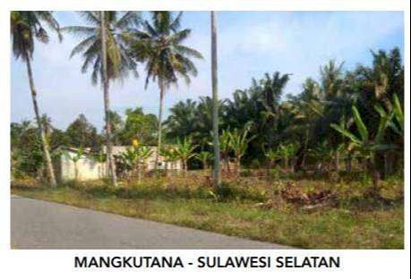 1028. Dijual Tanah Dusun Indrokilo, Tomomi Mangkutana Sulawesi Selatan