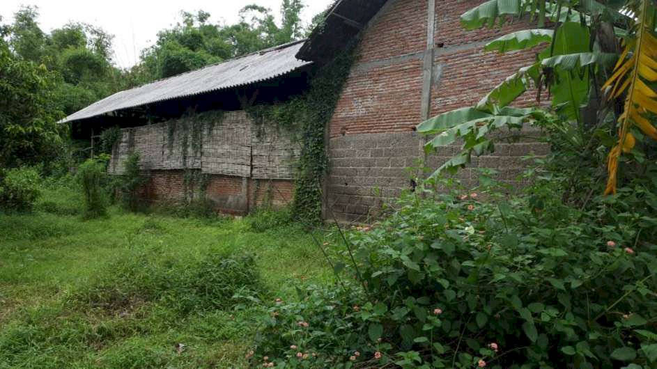 781. Dijual murah Tanah + Gudang di Mojowarno, Wringinpitu Jombang