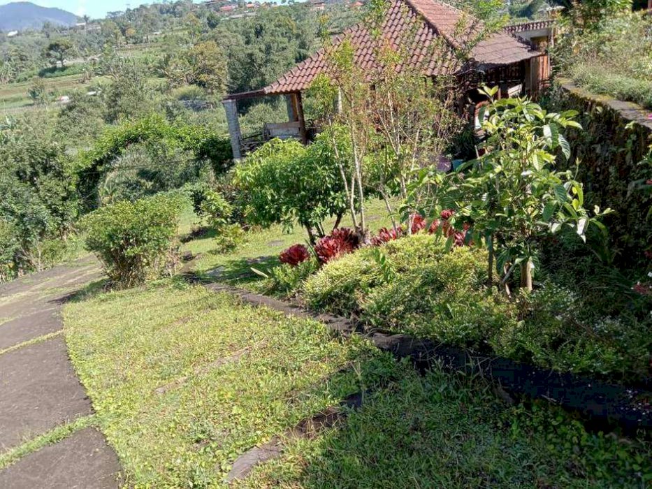 Jual murah tanah Bedugul Bali, termasuk 4 unit rumah kayu,1 rmh tembok