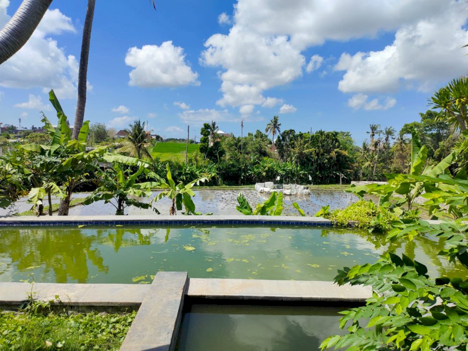 Di jual tanah  Lokasi babakan canggu Dekat ke batubolong/echo beach/fins beach