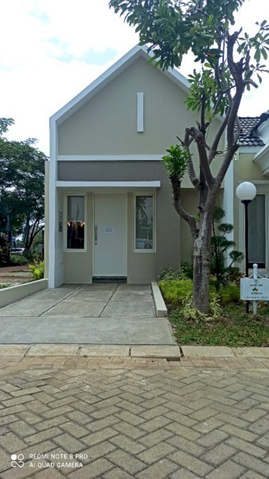 CLUSTER ARTEMESIA 085201027778