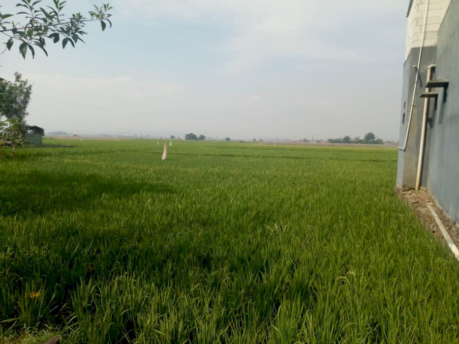 Dijual Tanah Luas Strategis di Majalaya