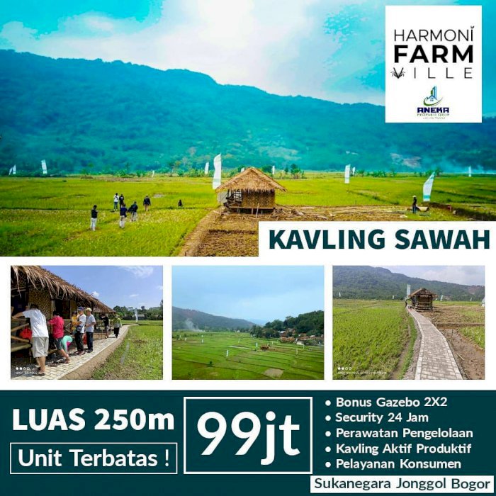 JUAL KAVLING WISATA SAWAH PRODUKTIF VIEW INDAH BONUS PERAWATAN