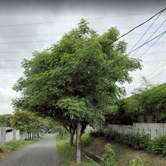 Tanah Luas Sangat Strategis untuk Gudang, Pabrik atau Perumahan Cluster di