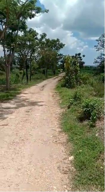 Tanah Murah Untuk Investasi Berada Disamping Penambangan Pasir Jalan Senori