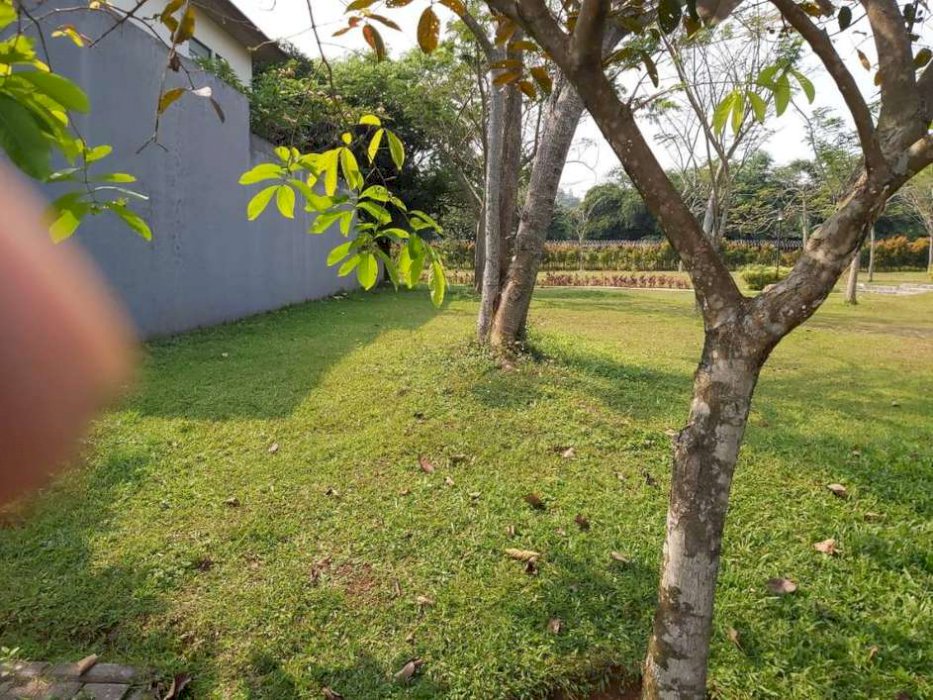 Jual Tanah murah BSD Avani kaveling Lavanya