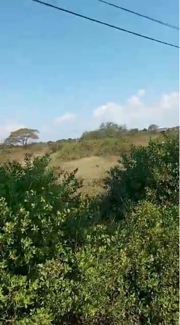 Jual Tanah Nol Jalan Pantura Nggirsapi Sugihwaras Jenu Tuban