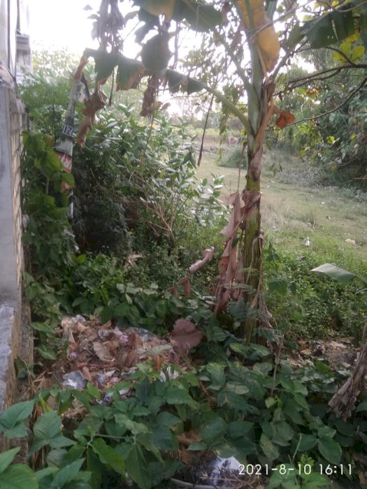 Sebidang Tanah untuk Rumah Atau Tempat Usaha Lokasi Beji, Jenu Tuban