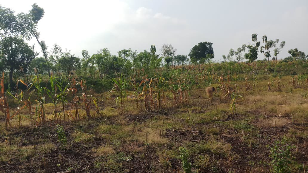 BU Tanah Lokasi Jauh dari pemukiman Strategis untuk Gudang Atau Peternakan