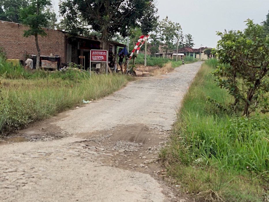 tanah kavling dekat jalan desa lokasi jatimulyo