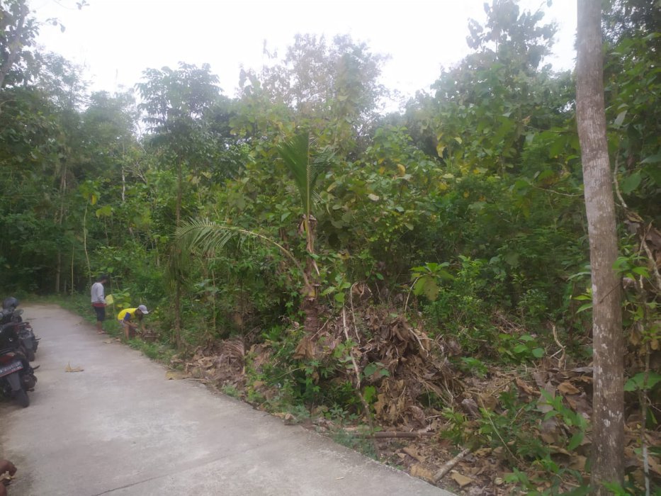 Tanah Pekarangan Strategis