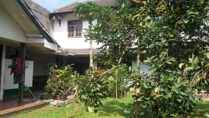 Rumah asri dan mewah