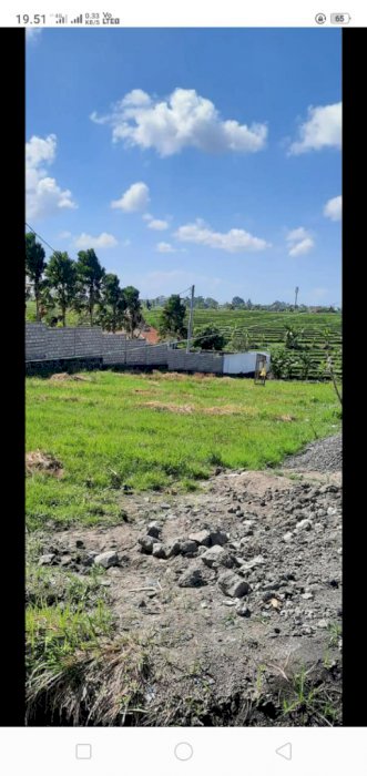 TANAH JALAN UTAMA PANTAI 5 PERERENAN CANGGU