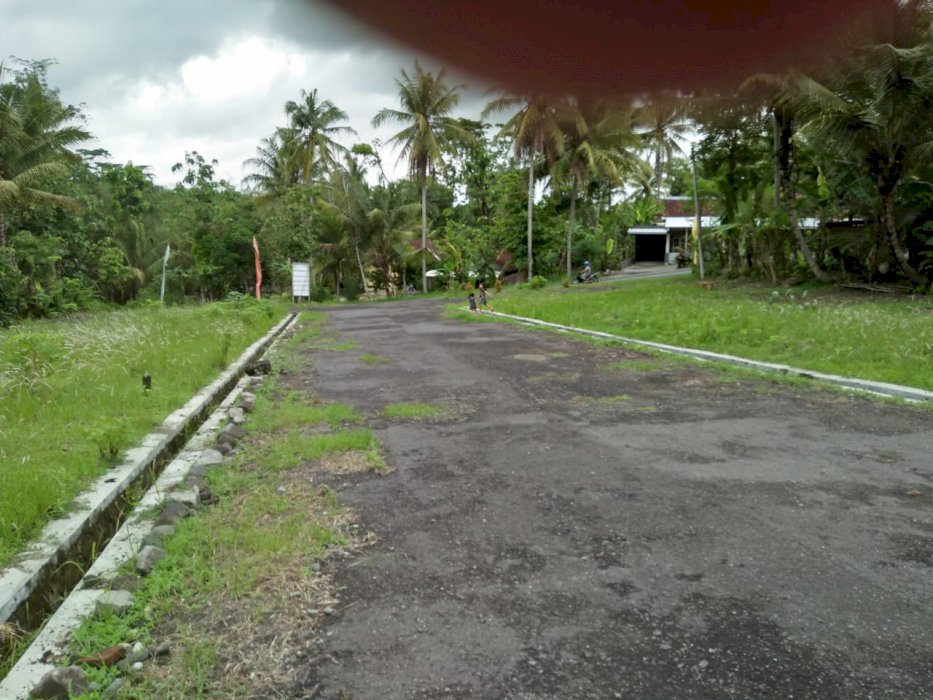 Jual Tanah Kavlingan Murah di jl Wates Kulonprogo Jogja, Brimob ke Utara