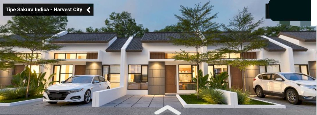 Sakura Indica Cluster di Harvest City cukup 5 jtaan Allah in