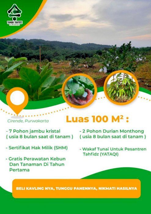 Investasi Kavling Kebun Produktif. Gratis Pohon Durian dan Jambu.