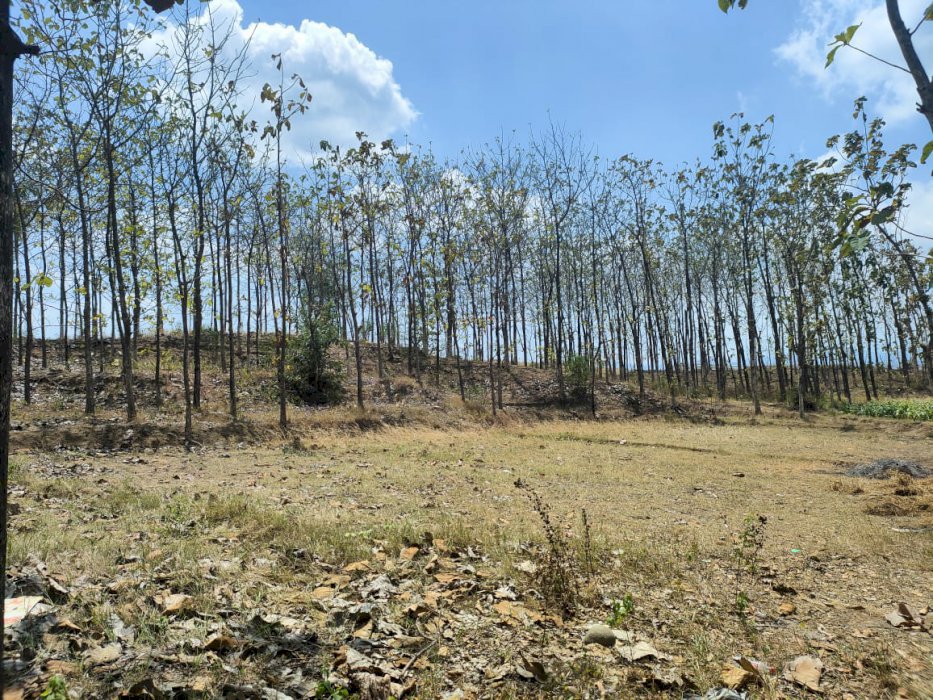 Tanah istimewa strategis