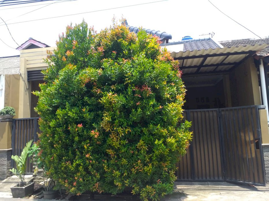 DIJUAL RUMAH SIAP HUNI DENGAN KONSEP MINIMALIS MODEREN