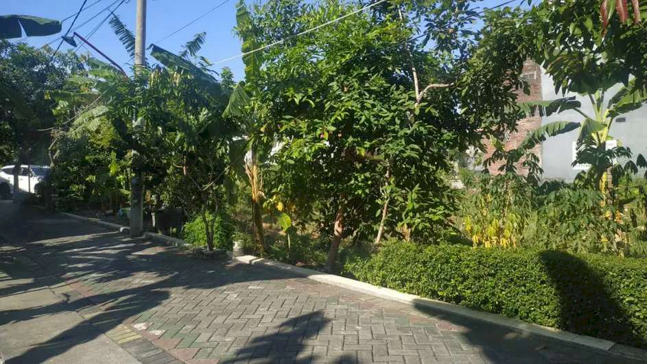 Dijual tanah di Pagesangan super murah