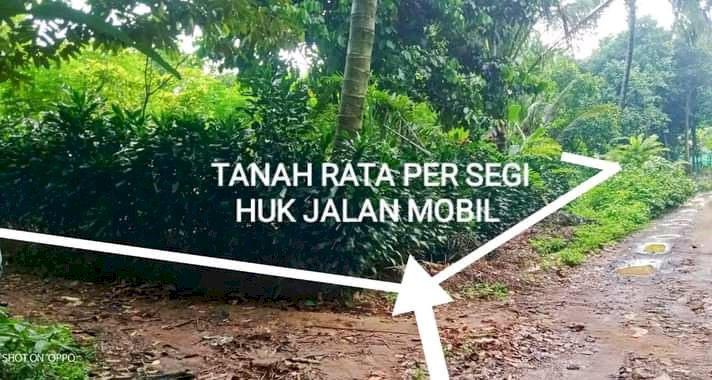 Di jual cepat tanah luas 300 MTR persegi  surat ajb
