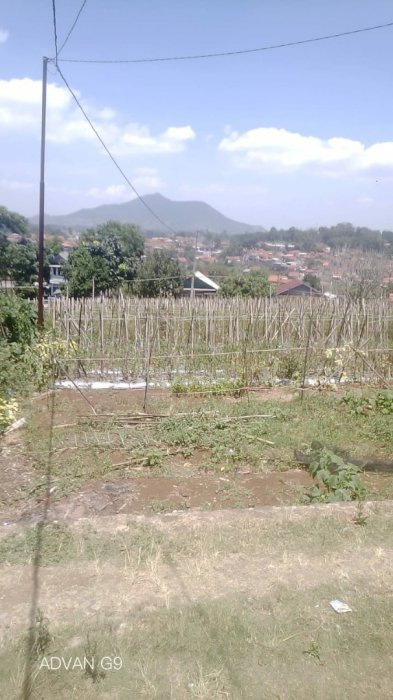 Tanah Siap Dibangun Cocok Untuk Rumah, Villa Ataupun Tempat Usaha