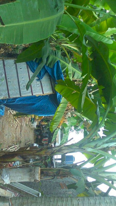 Dijual tanah 100 meter,  lokasi strategis.