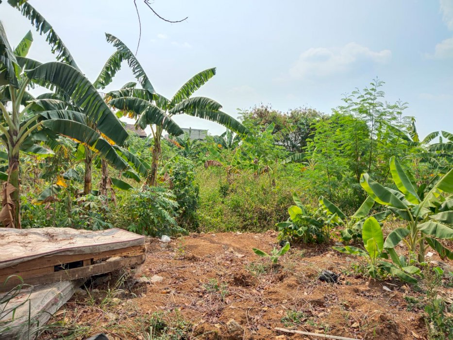 Dijual Tanah Kosong Jl. Jambu,Psar Kemis,Tangerang-T-0117
