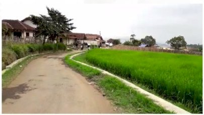 Tanah Cocok untuk Villa di Ciwidey