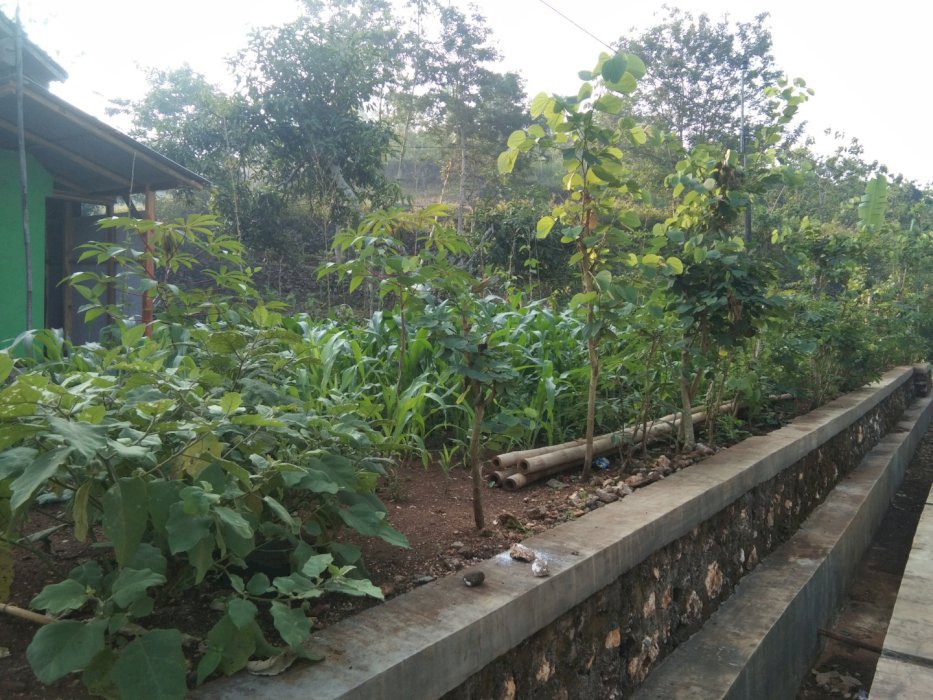 Di Jual Tanah Pekarangan datar dekat penduduk dan Jln Aspal